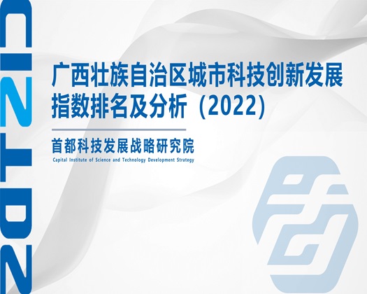 乳房,洞洞和精液【成果发布】广西壮族自治区城市科技创新发展指数排名及分析（2022）